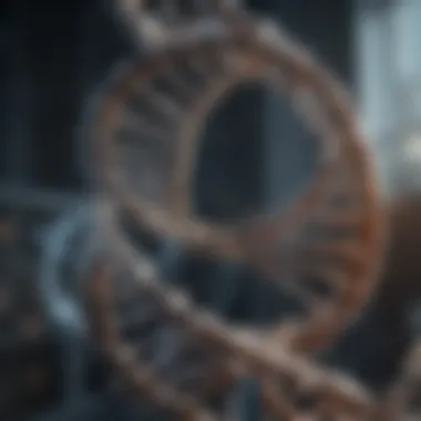 The Architecture of DNA Intricate DNA double helix structure