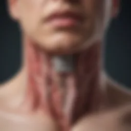 Illustration showing the anatomy of the esophagus highlighting hypersensitivity