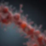 Visual representation of immunoglobulin G structure.