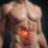 Illustration depicting the endocrine system and testosterone production