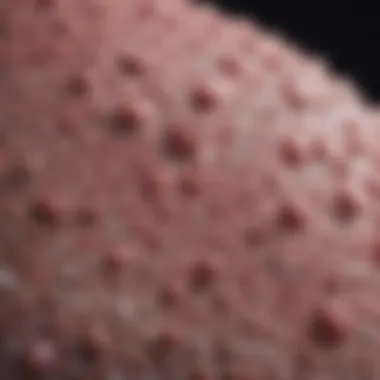 Advancements in Diagnostic Techniques for Epithelial Carcinoma Innovative diagnostic techniques for cancer identification