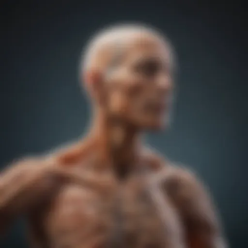 Visual representation of multiple sclerosis affecting the nervous system