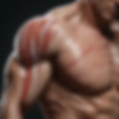 Physiological Mechanisms of Muscle Loss Diagram illustrating the physiological mechanisms of muscle loss