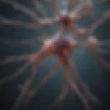 Neurons in the brain illustrating neurological activity