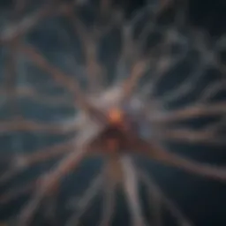 Illustration depicting the intricate structure of neurons and their connections