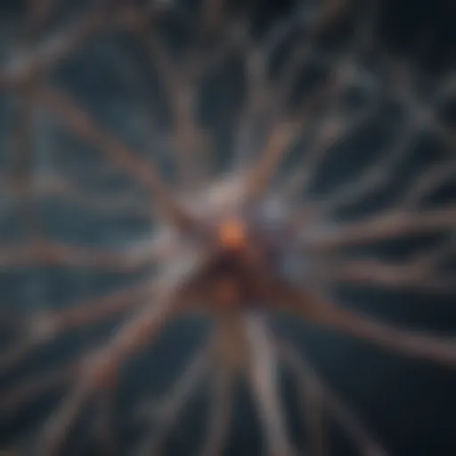 Illustration depicting the intricate structure of neurons and their connections