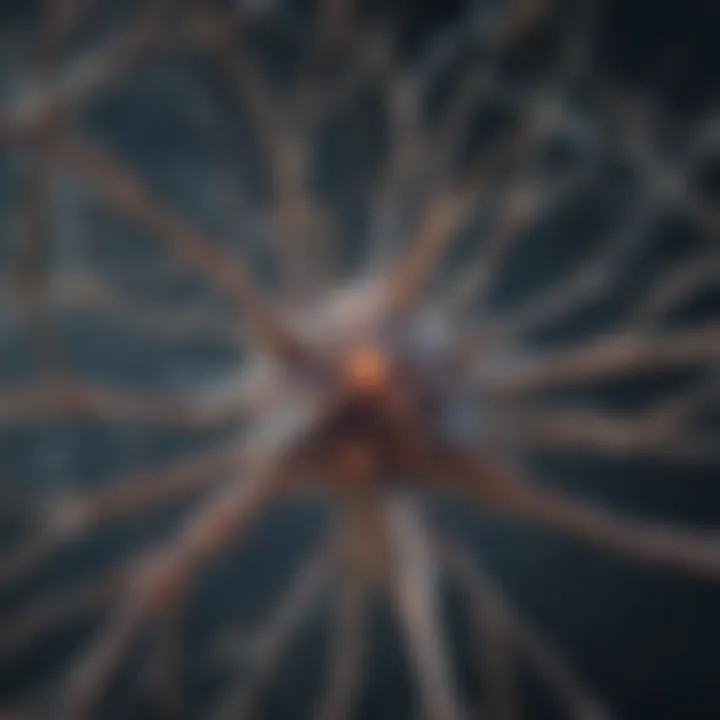 Illustration depicting the intricate structure of neurons and their connections