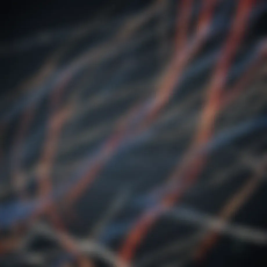 Diagram illustrating the genetic pathways involved in Sotos transmission