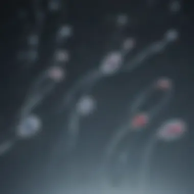 Visual representation of sperm sample collection