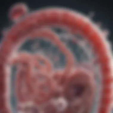 Diagram showcasing mechanisms of probiotics in the digestive system