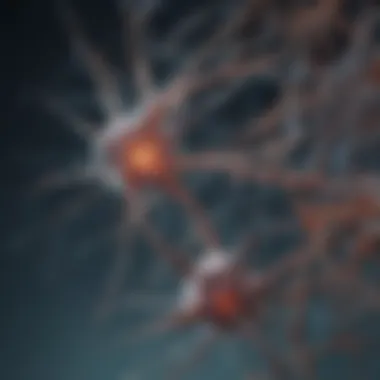 Synapses in Learning and Memory Chart depicting the role of synapses in learning and memory.