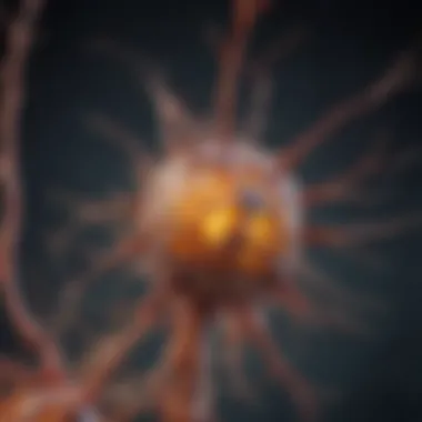 Synaptic Structure and Components Detailed diagram illustrating synaptic structure.