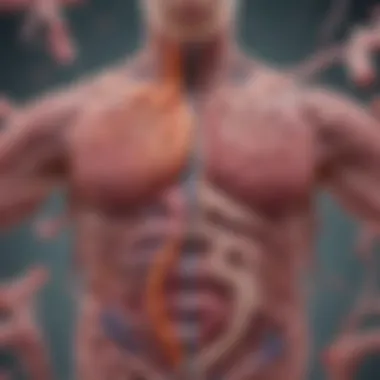 The Balance of Gut Microbiota A serene illustration of a healthy gut with balanced microbiota