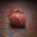 Coronary artery disease as a leading cause of acute heart failure