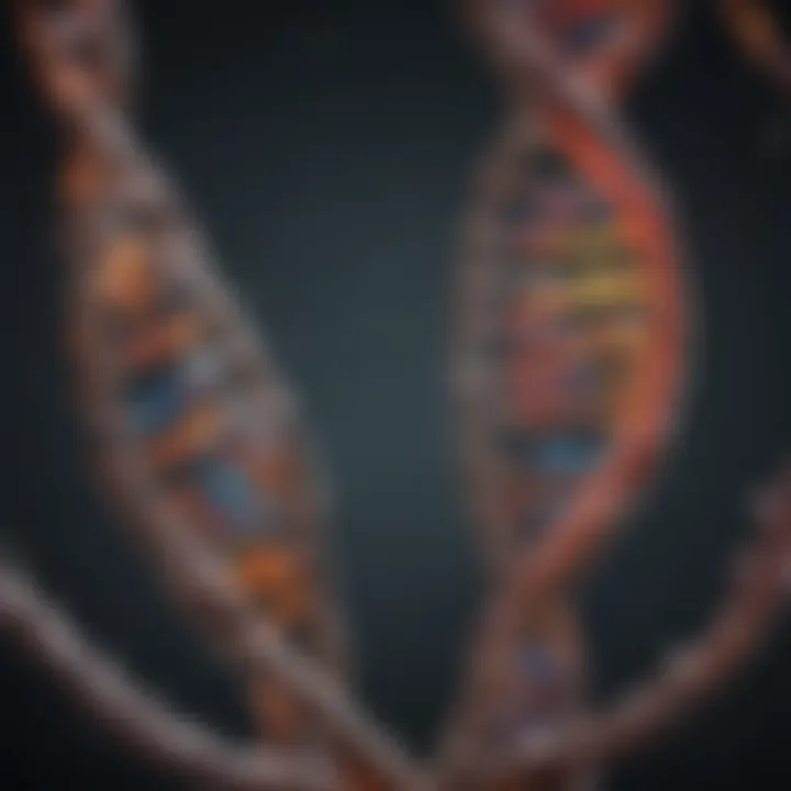 Visual representation of base pairing in DNA