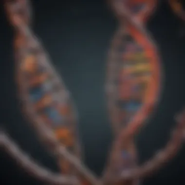 Base Pairing Mechanism: The Language of Genetics Visual representation of base pairing in DNA