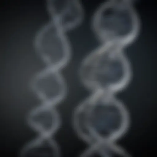 Illustration of the DNA double helix structure