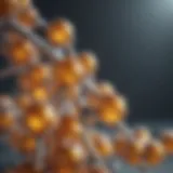 Molecular structure of vitamin D