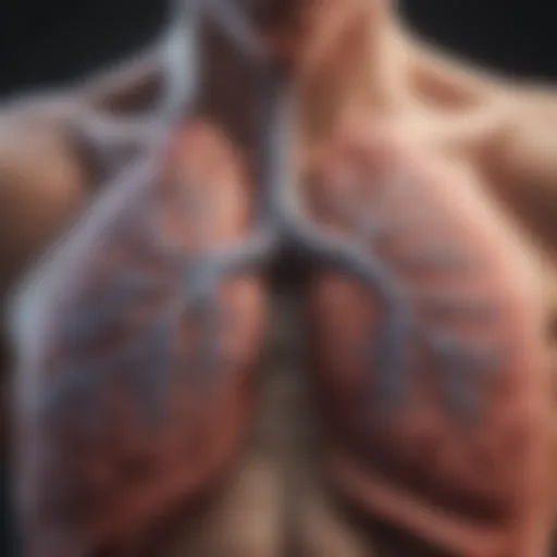 Illustration depicting the lungs affected by pneumonia