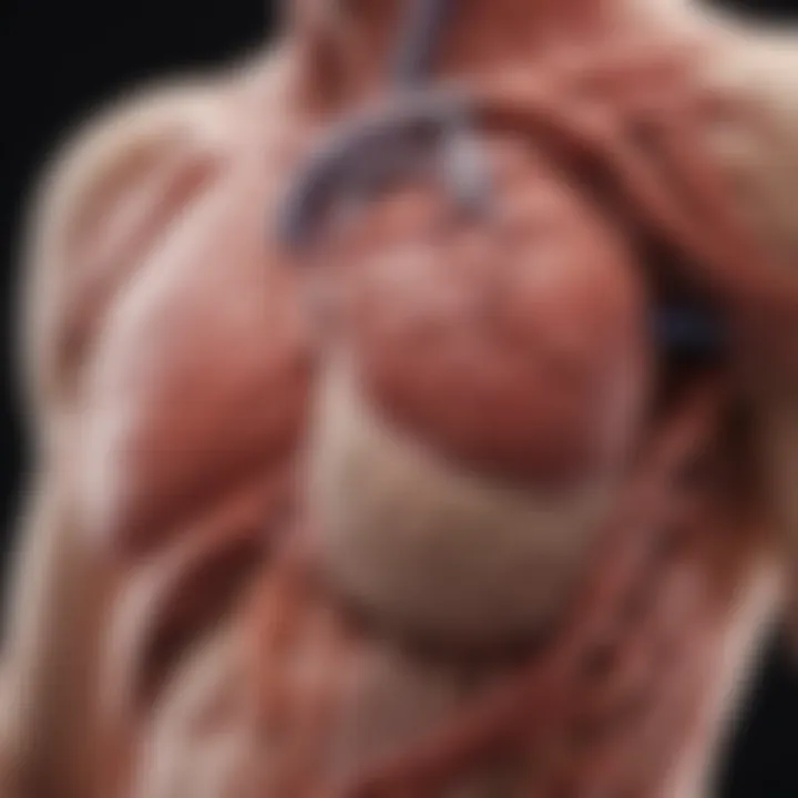Infographic on management strategies for enlarged ascending aorta