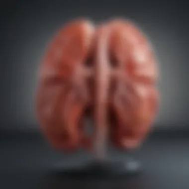 Treatment Options for Kidney Failure Chart detailing treatment options for kidney failure