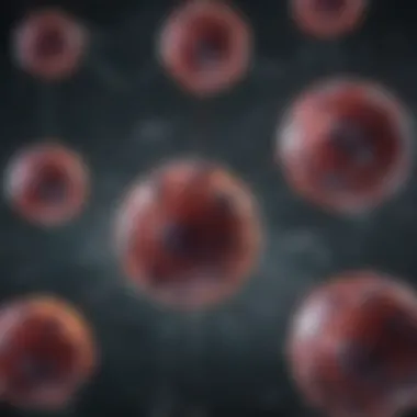 Biochemical Interactions of Opdivo in Oncology Biochemical interactions of Opdivo in oncology