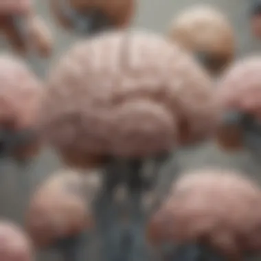 Key Brain Structures in Obsessive-Compulsive Disorder Neuroanatomy of the OCD brain highlighting key structures