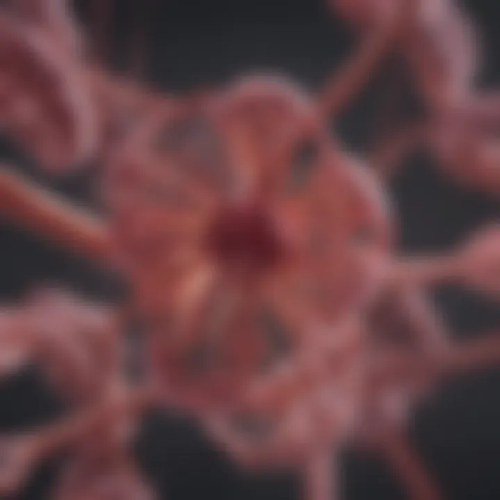 Role of genetics in cancer onset