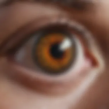 Clinical Application in Ocular Diagnostics Clinical application of Pentacam in ocular diagnostics