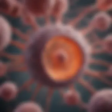 Mechanism of Lung Cancer Cell Invasion Illustration depicting the mechanism of lung cancer cell invasion into bone tissue.