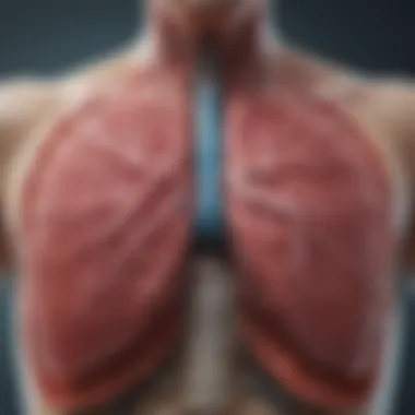 Graphic representation of current and future treatment strategies for lung cancer bone metastasis.