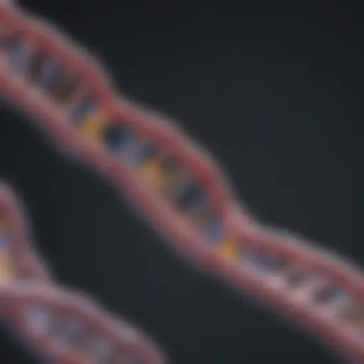 Diagram illustrating the structure of tRNA