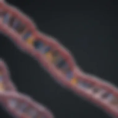 The Structure of tRNA Diagram illustrating the structure of tRNA