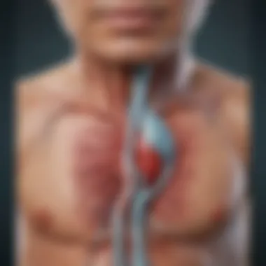 Illustration of different vascular access types for hemodialysis