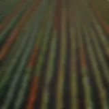 Aerial view of diverse vegetable fields showcasing various crops