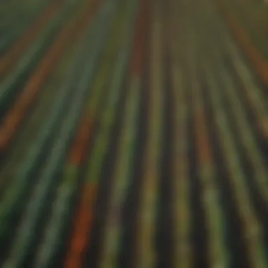 Aerial view of diverse vegetable fields showcasing various crops