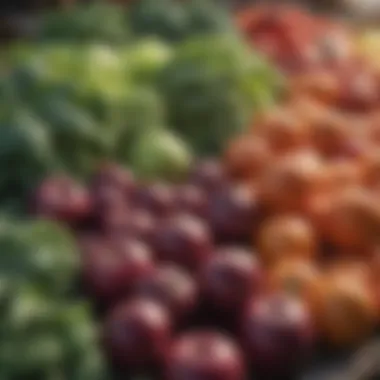 Close-up of fresh vegetables at a farmers market emphasizing local sourcing