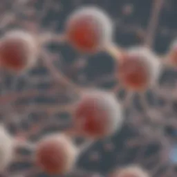 Detailed view of sperm cells under a microscope
