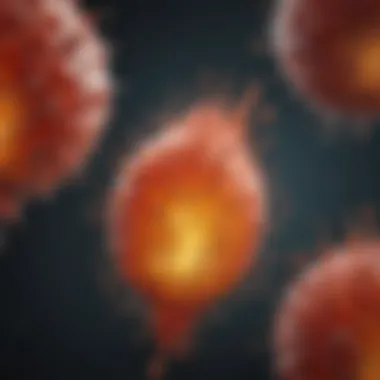 Diagram showcasing retinoic acid's impact on cellular growth and differentiation